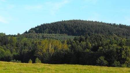 Agroturystyka Zacisze Czarna Owca Brzezanka Exterior photo