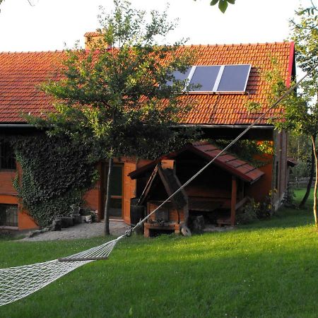 Agroturystyka Zacisze Czarna Owca Brzezanka Exterior photo