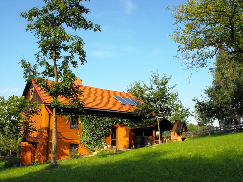 Agroturystyka Zacisze Czarna Owca Brzezanka Exterior photo