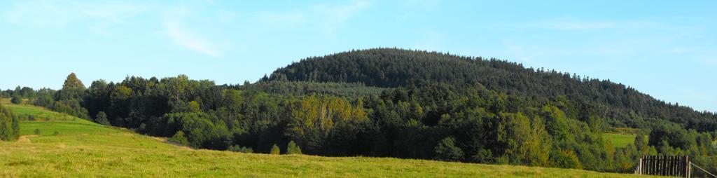 Agroturystyka Zacisze Czarna Owca Brzezanka Exterior photo