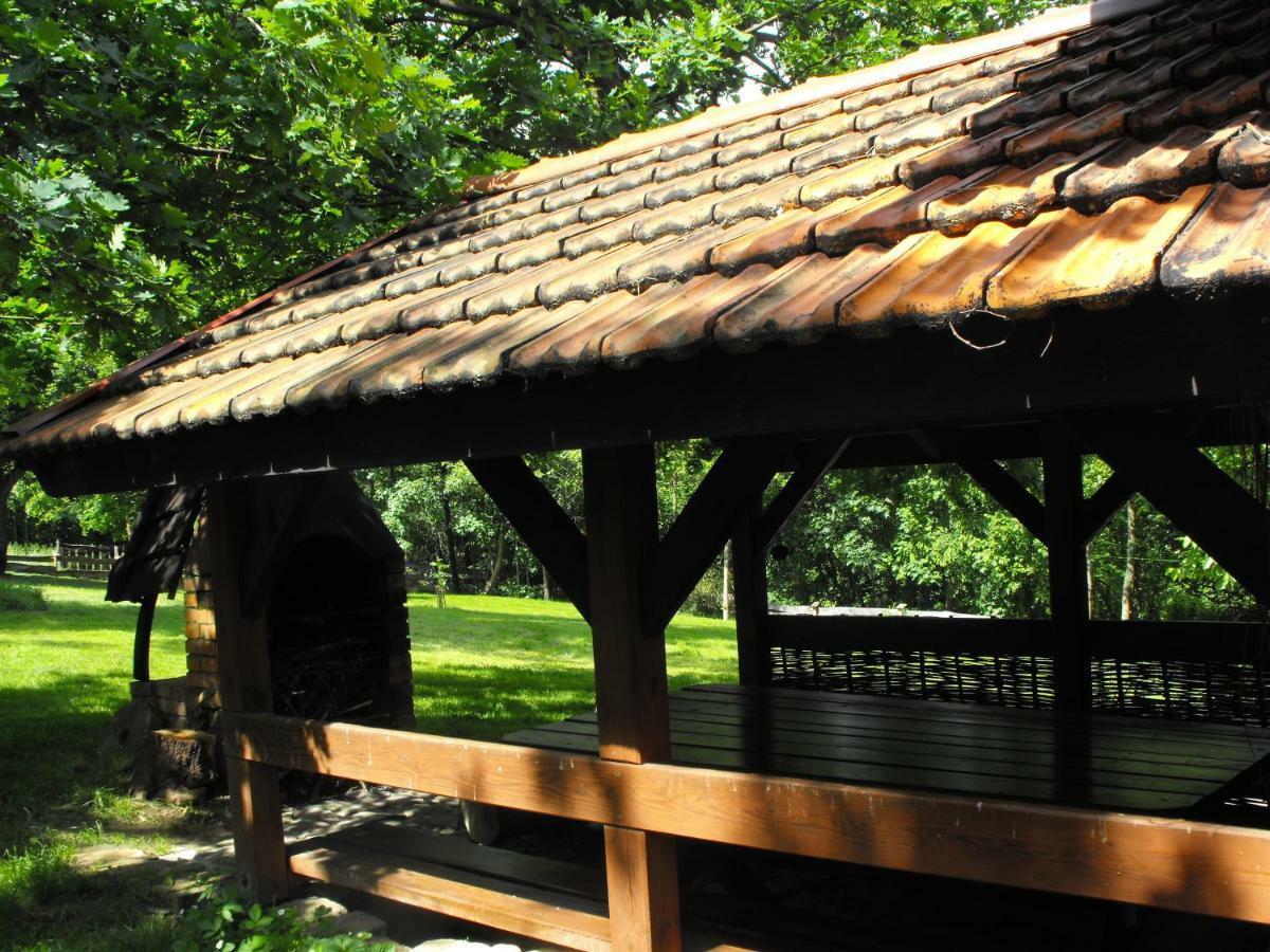 Agroturystyka Zacisze Czarna Owca Brzezanka Exterior photo