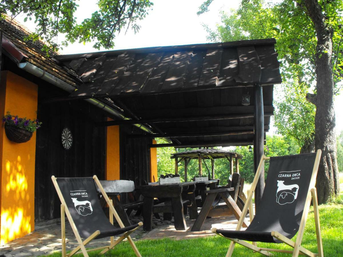 Agroturystyka Zacisze Czarna Owca Brzezanka Exterior photo